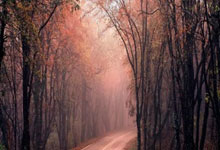 世界杯网投平台 -为医護(hù)送上“定(dìng)制化”个税辅导