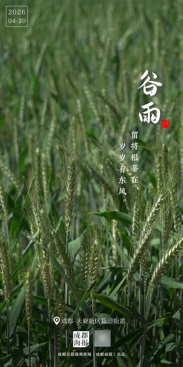 谷雨，春天以此回眸