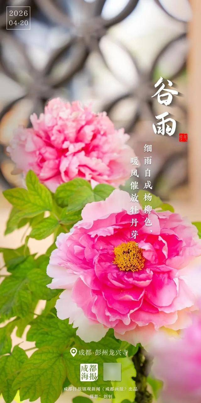 谷雨，春天以此回眸